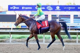 �yBC�W���x�i�C���^�[�t�z�L���O�R�� �T�g�m�J���i�o����9���ɔs���