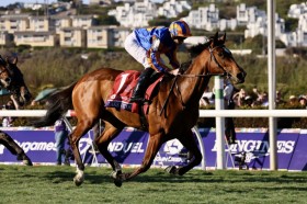 �yBC�W���x�i�C���t�B���[�Y�^�[�t�z���C�A���E���[�A�R�� ���C�N���B�N�g���A��������5�A��