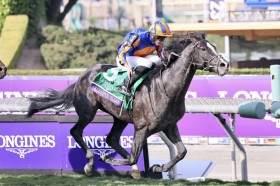 �y�W���p���J�b�v�z�I�[�M���X�g���_���ȂǊO���n3�������Ҏ��