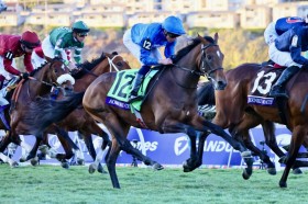 �yBC�W���x�i�C���^�[�t�z�A�I�����V�e�B�[��3���c�r���C�b�N�u�Q�[�g�̏󋵂��Ⴆ�΁c�v