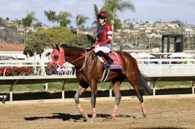 �yBC�N���V�b�N�z�ߊ�Ȃ炸�I�t�H�[�G�o�[�����O��3���c�V�G�����I�[�l�������؂�