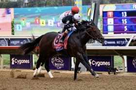 �yBC�X�v�����g�z���{����s�c���������̂̓X�g���C�g�m�[�`�F�C�T�[