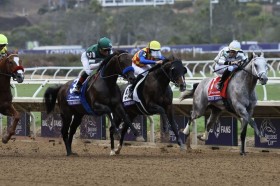 �yBC�_�[�g�}�C���z�e�[�I�[�T���h�j�͉ʊ��ɓ������9���c�t���Z���[�m��V