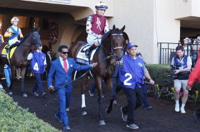 �yBC�f�B�X�^�t�z�}�N�s�[�N�t�u��������̐l���y���܂������v�\�[�s�[�h�A���i���N�₩�ȓ����؂�V