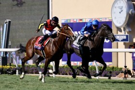 �yBC�^�[�t�z�A�b�v���r�[�t�u���ʂȔn�v���x���X���}���X��2�N�Ԃ�2����