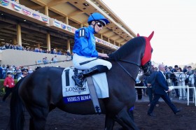 �yBC�^�[�t�z�r���C�b�N�u�f���炵���n�v���x���X���}���X��2�N�Ԃ�V