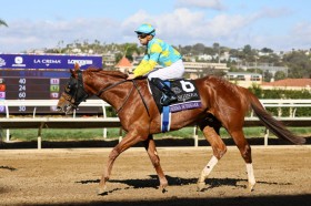 �yBC�N���V�b�N�z�����t�u���Ր�ł��ˁv�f���}�\�g�K�P��13��