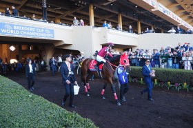 �yBC�N���V�b�N�z���ځu���2���͋��������v�t�H�[�G�o�[�����O��3��