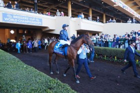 �yBC�N���V�b�N�z�V�e�B�I�u�g���C�̓_�[�g�ʗp�����c�I�u���C�G���t�u�X�^�[�g�ŏI����Ă����v