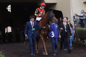 �yBC�}�C���z���R���uBC���������Ƃ����C�����������Ȃ����v�c�W�I�O���t��5��