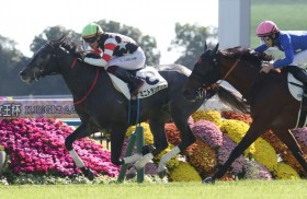 �y�V�n/���s5R�z�~�j�g�����U�b�g���f�r���[V�c�f�R�l�C�A�X�N�Z�N�V�[���A�͂܂����̍ŉ���