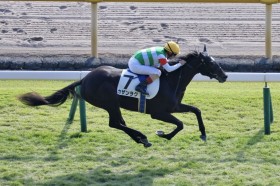 �y�V�n/����5R�z�f�R�l�C�J�U�����N���f�r���[V