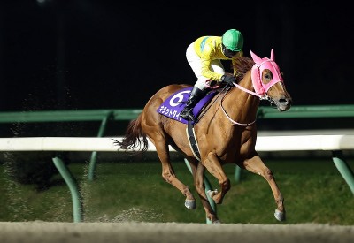 【岩手競馬】すずらん賞見どころ…休養明けに強いゴールデンヒーラーなど