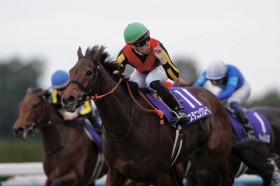 �y�G���U�x�X�����t�zC.�f���[���R�� �X�^�j���O���[�Y������V�c���K���C���͔s���