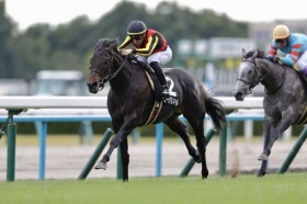 �y���e�܁zC.�f���[���R�� �~���[�W�A���}�C����2�A��