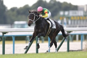 �y�V�n/���s5R�z���[�A�R�� �G�R���f�B�m�X���f�r���[V