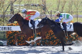 �y���s2R�zC.�f���[���R�� �`���j�[�g�b�v�X���f�R�̎x���ɉ�����