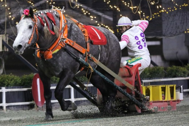 競馬 歴代ばんえい最強馬投票優勝馬 鈴木恵介騎手直筆サイン木箱 証明書入り蹄鉄 ばんえい・クインカップ】鈴木恵介騎手・重賞通算100勝…ミュウで