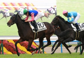 �y�V�n/���s5R�z�������C�V���E�^�}�������f�r���[V