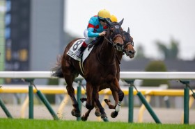 �y����6R�z�G���u���C�_���[���f�R�̐l�C�ɉ�����