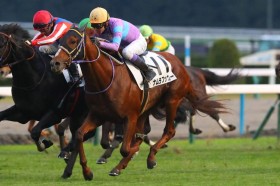 �y���s12R�z���L�i�����t�b�J�[���n�i��V�cJRA�E80����