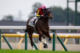 �y�V�n/����5R�z�P��1.2�{�C���v���y���A���f�R�̎x���ɉ�����