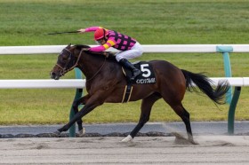 �y�O�����A���O���AC�z�C���r���V�u���p�p�������؂�c�I�[�v������