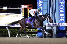 �y�Y�a�L�O�zC.�f���[���R�� �A�E�g�����W��6�n�g������