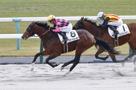 �y�V�n/���s6R�z�X�}�[�g�V�[�J�[���f�r���[V