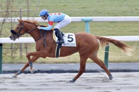 �y���s2R�z�����@���X���[���Y�� �u���b�N�����_���X��������