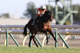 �y�A�[�����h�A�CC�z�^�b�`�E�b�h��1�N7�����Ԃ背�[�X�𓦂��؂�