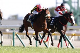 �y�x�S�j�A�܁zC.�f���[���R�� �ǌ��f�B�A�i�U�[����2����