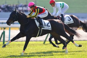 �y�V�n/���s5R�z���o�e�B�A�C�����h���� �}�f�B�\���K�[�����f�r���[V