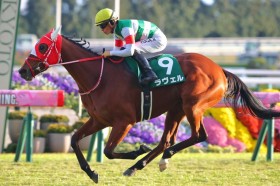 �y�`�������WC�z�����F�����d��2���ځc�����f���؂�