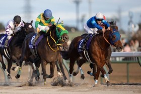 �y�`�����s�I���YC�z�������|�b�v���L�IV�c���X�g����������