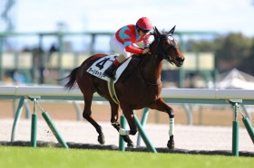 �y����4R�z�O���Y���[�W�M�������[��3�n�g������