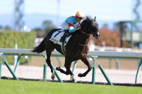 �y����5R�zC.�f���[���R�� �C���^�[�|�[�U�[��������