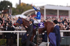 �y�`�����s�I���YC�z���ځu�����Ă�̂��ȁH�v�������|�b�v�L�IV�c�W���b�L�[�J�����f�����J