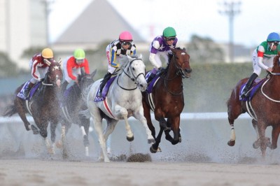 競馬 C.デムーロ騎手 サイン入り 実使用 ジョッキーパンツ