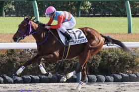 �y�V�n/���R6R�z�i�_���Y�� �^�}���J���p�l�����f�r���[V