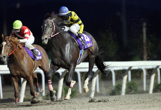 岩手競馬】トウケイニセイ記念見どころ…ノーブルサターン3連覇なるか