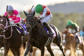 WIN5��77���~���̕��߂��c��_JF�̓A���}���F���[�`�F��V