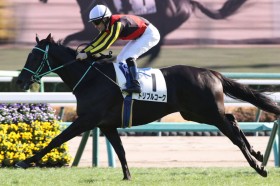 �y�V�n/���R5R�z�g���v���R�[�N�Œf�R�̐l�C�ɉ�����