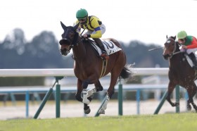 �y�V�n/���s5R�z9�Ԑl�C�m�N�i���A����]���𕢂�V