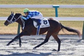 �y���s3R�zC.�f���[���R�� �T�}�[�i�C�g��5�n�g������