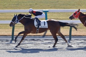 �y���s2R�zC.�f���[���R�� �V�z�m�y���t�F�b�g������