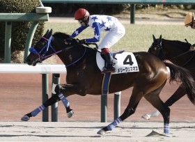 �y�V�n/���R6R�z�����[�N���X�}�X���f�r���[V