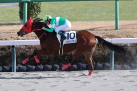 �y�V�n/���R5R�z�V�����@���{�k�[�����卷����