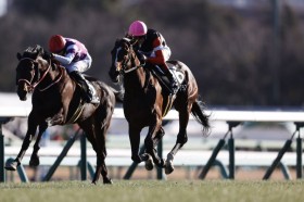 �y�O�b�h���b�NHC�z��O�X�e�B���K�[�O���X���l�C�ɉ�����c�L�n�L�O�Ɠ��������[�X