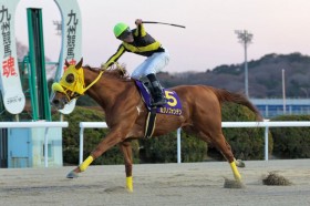 �y����E�S�[���h�X�v�����g�zG1�n�J�W�m�t�H���e��������ŕ���V